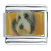 Bearded Collie Dog Photo Italian Charm
