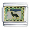Southwestern Coyote Italian Charm