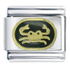 Cancer Black Italian Charm