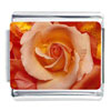 Rose Photo Italian Charm