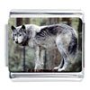 Standing Wolf Photo Italian Charm