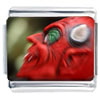 Devil Face Photo Italian Charm