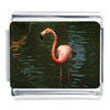 Flamingo In  Water  Italian Charm