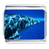 Dolphin Gliding Happily Photo Italian Charm