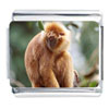 Tan Monkey Italian Charm