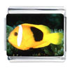 Yellow Clown Fish Photo Italian Charm