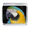 Parrot Face Italian Charm