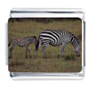 Zebra Family Photo Italian Charm