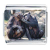Monkey Couple Italian Charm