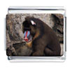 Mandrill Baboon Monkey Photo Italian Charm