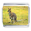 Kangaroo On Yellow Grass Italian Charm