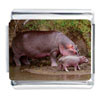 Hippo Family  Photo  Italian Charm
