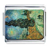 Road With Cypress And Star Photo Italian Charm