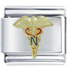 Nurse Caduceus Italian Charm