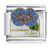 Morning Glory Flowers Italian Charm