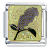Lilac Flower Photo Italian Charm