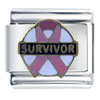 More In Store - Breast Cancer Survivor Italian Charm