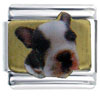 Boston Terrier Photo Italian Charm V265