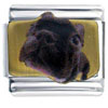 Pug Black Photo Italian Charm