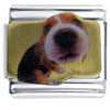 Beagle Sticks His Little Nose Italian Charm