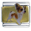 Toy Fox Terrier Photo Italian Charm