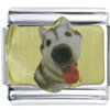 Husky Photo Italian Charm