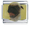 Pug Panting Photo Italian Charm