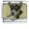 Husky Puppy Photo Italian Charm