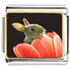 Bunny In Tulip Photo Italian Charm