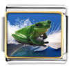 Surfing Frog Photo Italian Charm