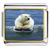 Boogie Boarding Polar Bear Photo Italian Charm