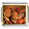  November  Topaz Color Turkey Photo Italian Charm