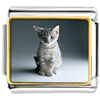 Kitty Portrait Photo Italian Charm