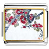 Apricot Blossoms Art Photo Italian Charm