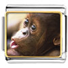 Goofy Monkey Photo Italian Charm