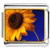 Yellow Sunflower Photo Italian Charm