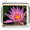 Yellow And Pink Flower Photo Italian Charm