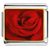 Dew Drop Rose Photo Italian Charm