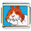 Smiling  Bunny  Rabbit Photo Italian Charm