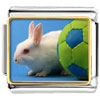 Soccer  Bunny  Rabbit Photo Italian Charm