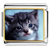 Grey Kitty Photo Italian Charm