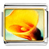 Yellow Calla Lily Flower Photo Italian Charm