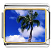  Tropical  Palm Tree Photo Italian Charm