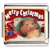 Christmas Hamster With Cookie Photo Italian Charm