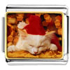 Sleeping Santa  Kitten  Photo Italian Charm