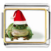  Santa  Frog Photo Italian Charm