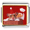 Santa Claus Mouse Photo Italian Charm