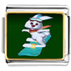 Snowboard Bunny Photo Italian Charm