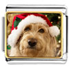 Golden Retriever Santa Photo Italian Charm
