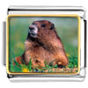 Happy Digging Gopher Photo Italian Charm